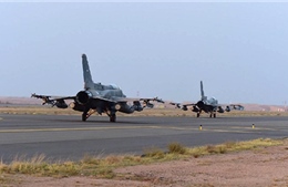 Máy bay chiến đấu của UAE rơi, 2 phi công thiệt mạng
