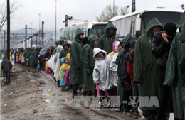 Macedonia chặn hàng trăm người di cư vượt biên từ Hy Lạp 