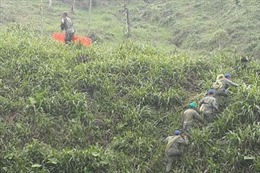 Ecuador: Rơi máy bay quân sự, 22 người thiệt mạng