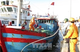 Bệnh viện Bạch Long Vĩ cấp cứu ngư dân bị dập bàn tay 