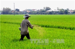 Sức sống mới ở vùng căn cứ Tràm Dưỡng, Kiên Giang