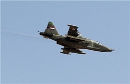 Máy bay Iraq rơi khi qua lãnh địa IS