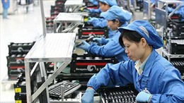 Đề nghị công ty Nhật Bản đảm bảo quyền lợi cho lao động Việt 