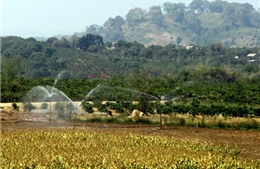 Khai thác hợp lý hồ chứa 