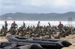 Hàn Quốc lập đơn vị cơ động mới đối phó Triều Tiên