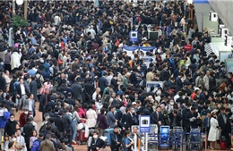 Lỗi máy tính, hơn 15.000 khách bị mắc kẹt ở sân bay Nhật Bản