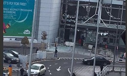 Vụ nổ kép ở sân bay Brussels là đánh bom liều chết