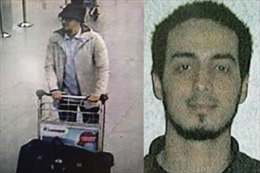 Bắt nghi can đầu sỏ vụ khủng bố ở Brussels