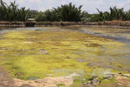 Ủy hội sông Mekong cảnh báo xâm nhập mặn tại ĐBSCL vẫn tiếp diễn