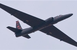 Máy bay do thám NATO sẽ "quần thảo" Nga