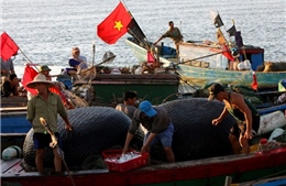 Đàm phán cấp chuyên viên Việt Nam - Indonesia về EEZ 