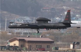 NATO hối thúc Mỹ điều U-2 do thám Nga