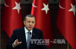 Đức bác chỉ trích về clip chế nhạo ông Erdogan
