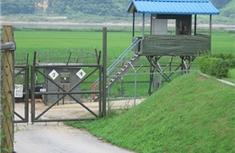 Triều Tiên lập thêm 200 trạm quan sát quân sự dọc biên giới 