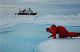 Kỷ lục băng tan ở Bắc Cực