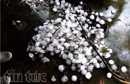 Mưa đá to kỷ lục tàn phá Tuyên Quang
