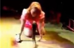 Ca sĩ bị rắn hổ mang cắn chết trên sân khấu