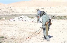 Xem công binh Nga gỡ mìn ở Palmyra