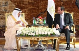 Saudi Arabia và Ai Cập xây cầu qua Biển Đỏ 