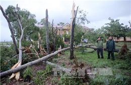 Gió lốc cấp 11 đánh sập nhà, tốc mái ở Lào Cai 