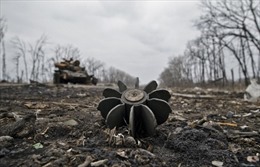 Bất cập nảy sinh đe dọa thỏa thuận Minsk II ở Ukraine