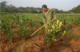 Góp công, của xây dựng nông thôn mới