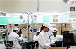 Công nhân Việt và nhà máy Séc vấp rào cản thị thực