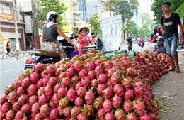 Đầu ra cho nông sản 	