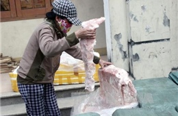 Nguy cơ bùng phát dịch bệnh từ việc tiêu thụ lợn thải
