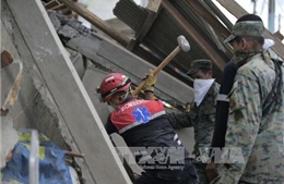Việt Nam chia sẻ với Ecuador về những tổn thất do động đất 