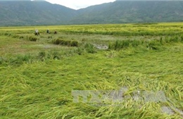 Mưa dông, lốc gây thiệt hại ở Tuyên Quang 