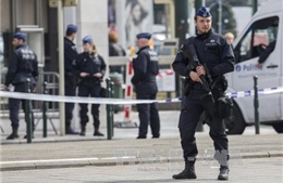 Nghi can khủng bố Brussels bị cáo buộc tham gia vụ tấn công Paris