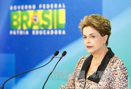 Brazil điều tra Tổng thống và Phó Tổng thống 