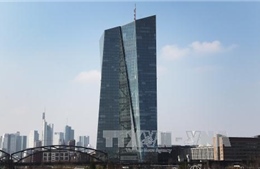 ECB tiếp tục giữ nguyên lãi suất cơ bản thấp kỷ lục