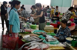Dân Đà Nẵng bớt ăn cá trước tin cá chết hàng loạt