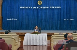 NLD để ngỏ khả năng trưng cầu dân ý về một hiến pháp mới