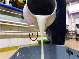 Ấn Độ cấm nhập khẩu sữa và điện thoại Trung Quốc