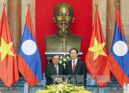 Chủ tịch nước Trần Đại Quang hội kiến Tổng Bí thư, Chủ tịch nước Lào