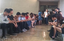 Tối nay, họp báo công bố nguyên nhân cá chết hàng loạt 