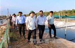 Phó Thủ tướng Trịnh Đình Dũng khảo sát vùng hạn mặn Sóc Trăng