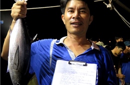 Quảng Bình: Niềm vui từ việc chứng thực hải sản an toàn