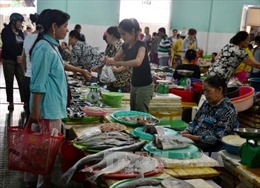Đà Nẵng mở các điểm bán cá sạch 