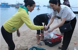 Hàm lượng kim loại nặng trong hải sản ở Hà Tĩnh trong mức cho phép