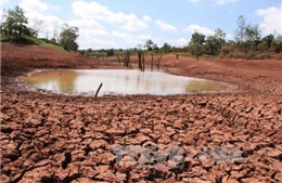 Tháng 5, khô hạn tiếp tục lan rộng ở miền Trung 