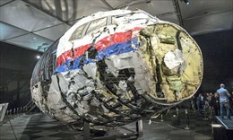 Bellingcat: MH17 bị tên lửa thuộc Lữ đoàn Nga bắn hạ