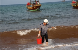 Nước biển Quảng Bình đổi màu bất thường