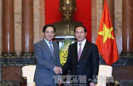 Chủ tịch nước Trần Đại Quang tiếp Đại sứ Trung Quốc