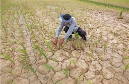 Campuchia hứng chịu đợt hạn hán tồi tệ nhất trong một thế kỷ