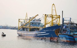 Tàu cá Việt Nam cứu 4 người nước ngoài trên biển