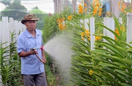 Chú trọng nâng cao chất lượng tăng trưởng